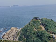 -杨梅坑