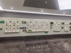 -中国茶叶博物馆(双峰馆区)
