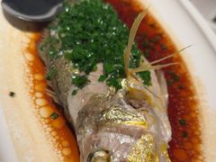-三利音·玖弄小鲜(浦东嘉里城店)