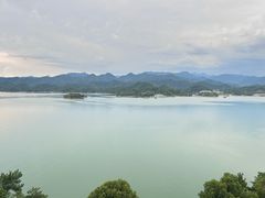 -浔味·山屿湖·正宗淳牌全鱼宴老字号