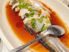 豉油蒸白水鱼-金美华轩(东方路齐鲁店)