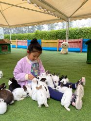 -萌宠亲子动物乐园(槐房万达店)