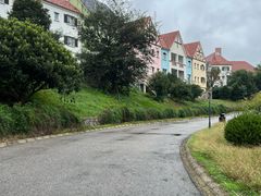 -大塘金香草谷