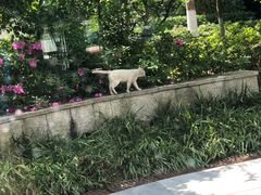 -Wagas沃歌斯(大学路店)