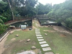 -广东惠东海龟国家级自然保护区