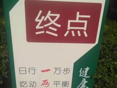 -大兴滨河森林公园
