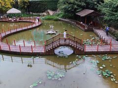 -珠海圆明新园