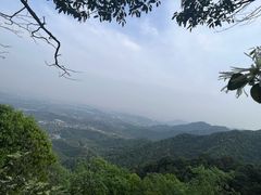 -午潮山国家森林公园