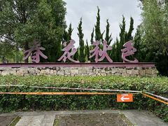 -春花秋色城市公园