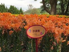 -无锡梅园公园