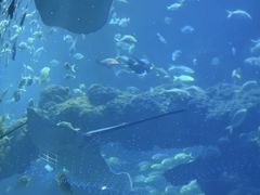 -海合安青岛极地海洋公园