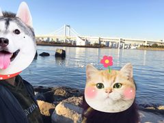 -台场海滨公园船码头