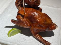 -侨美食家·41年地道粤菜(恒福路店)