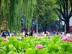 -四川大学(望江校区)