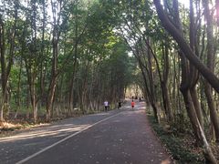 -艾溪湖湿地公园