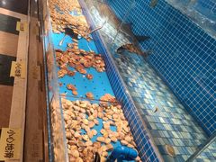 -蓝钻·国际美食海鲜自助百汇(西直门店)