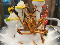 -高老庄新家宴(北斗星广场店)