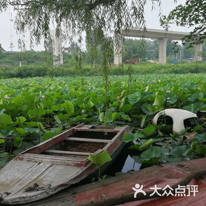 千年古莲园