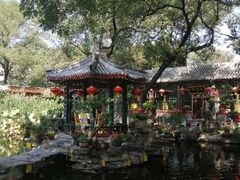 -白家大院·王府宫廷菜(苏州街店)