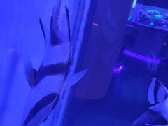 -上和臻品中国菜(花园街店)