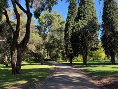 -墨尔本皇家植物园