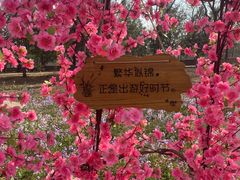 -北京凤凰岭