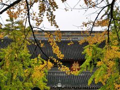 -西园戒幢律寺