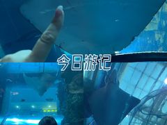 -天佑城