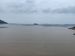 -北岐滩涂