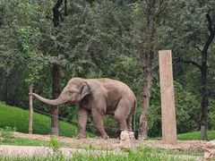 -北京野生动物园