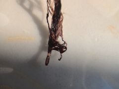 -相聚青山餐厅(阎河路店)