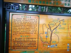 -帽儿山国家森林公园