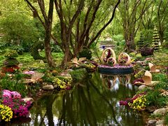 -上海共青森林公园