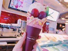 -哈根达斯(西安高新店)
