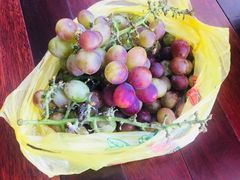 -乡乐园蟹庄·阳澄湖农家乐