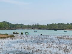 -野鸭湖国家湿地公园