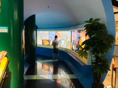 -上海昆虫博物馆