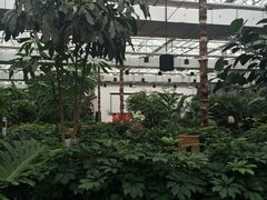 -汤山翠谷生态餐厅