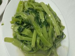 -新陶陶酒家