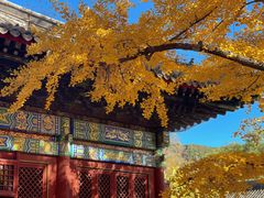 -红螺寺