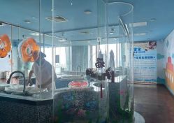 -新寰亚月子会所(金鸡湖凯宾店)