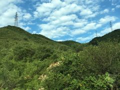 -张北坝上草原