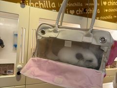 -龙猫仔乐园(惠福东路店)