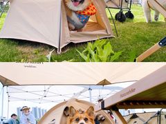 -南京外国语学校(仙林分校西区)