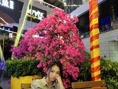 -Paulaner·德国帕拉娜自酿啤酒餐厅(海上世界店)