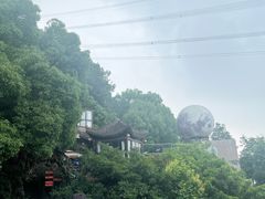 -巴倒烫陆派火锅山庄(南山总店)