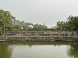 -吨儿熊自然探险乐园·儿童AR自然探索·家庭户外运动(奥林匹克森林公园店)