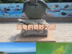 -广东惠东海龟国家级自然保护区