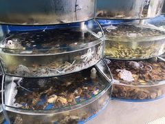 -蓝珊甄选海鲜自助·火锅大排档(近阿那亚店)