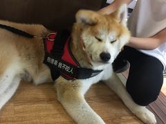 -YCHL Studios健身工作室(市二宫店)